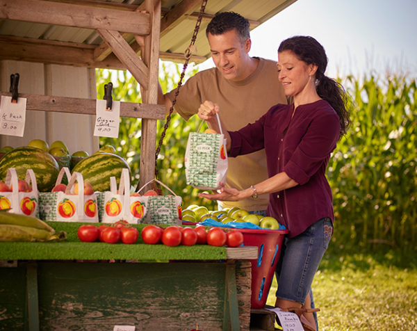 Starting A Roadside Fruit Stand National CSA Directory   RoadSideStand Hero 600x476 