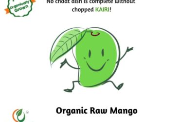 buy raw mango clothes online