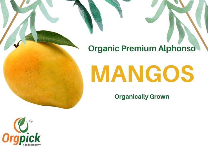 Buy Organic Mangoes in Pune – National CSA Directory
