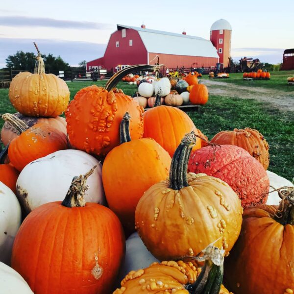 Pumpkin Festival at Shepherd's Cross & Heart of the Shepherd