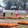 Pumpkin Festival at Shepherd's Cross & Heart of the Shepherd