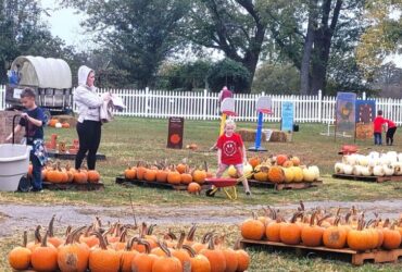 Pumpkin Festival at Shepherd's Cross & Heart of the Shepherd