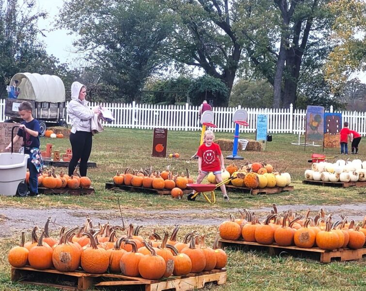 Pumpkin Festival at Shepherd's Cross & Heart of the Shepherd