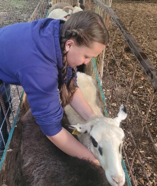 Small Ruminant Animal Husbandry Training